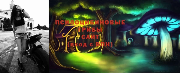 2c-b Алзамай