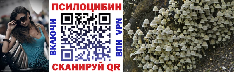 Псилоцибиновые грибы мицелий  Цивильск 